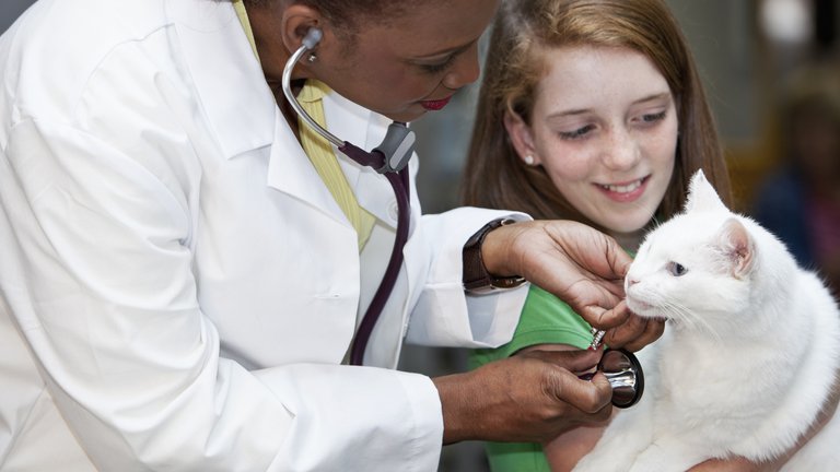 A vet looking at a cat held by a child