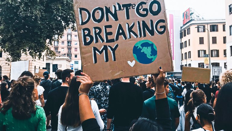 Photo of a person holding up a placard depicting 'DON'T GO BREAKING MY' and an illustraition of Earth.